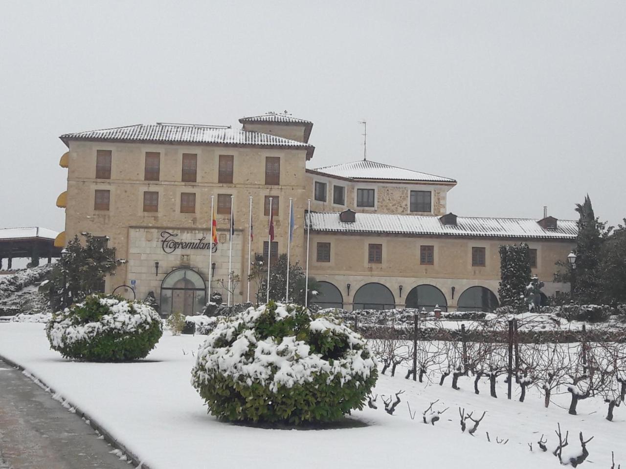 Hotel Torremilanos Aranda de Duero Exterior photo